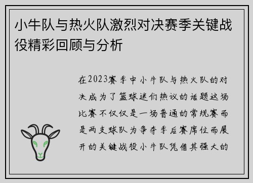 小牛队与热火队激烈对决赛季关键战役精彩回顾与分析